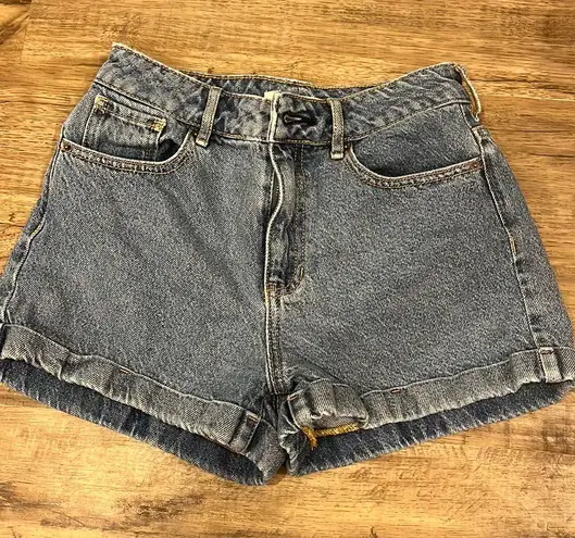 PacSun Mom Shorts