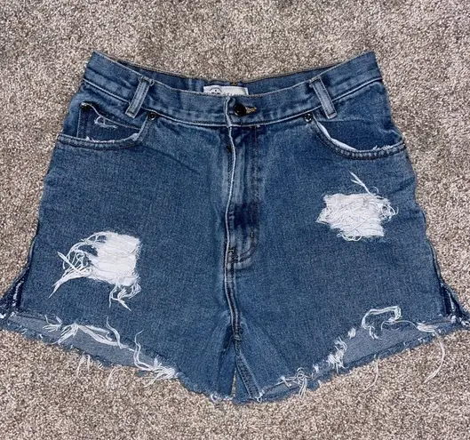 Arizona Denim Highwaisted Shorts