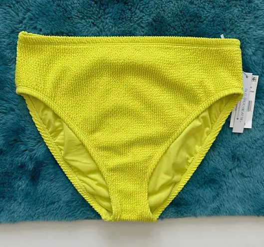 Bleu Rod Beattie PUCKER UP HI-WAIST BIKINI BOTTOM Size 6