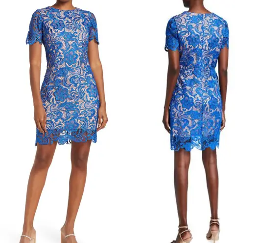 Dress the Population NWOT $198 Cobalt Anna Crochet Lace Sheath Dress S