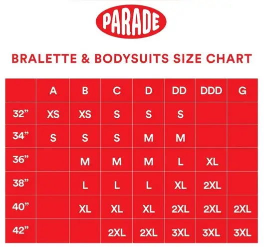 Parade Underwear NWT - Mesh Scoop Bodysuit.