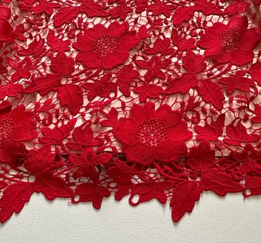 ECI New York Red Floral Lace Overlay Sleeveless Knee Length Holiday Dress Size 6