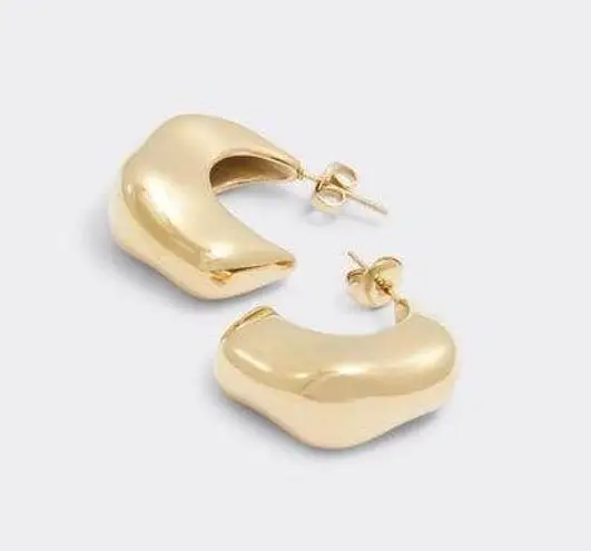 ALDO Roben Chunky Hoop earrings