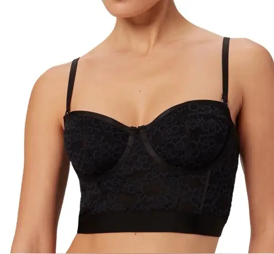 Parade Underwear NWT - Lace Bustier.