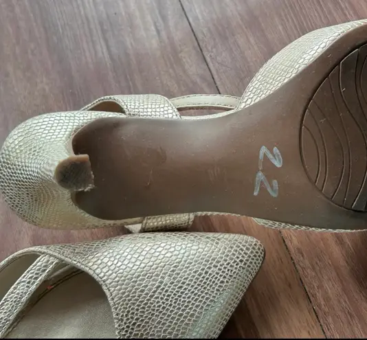 Impo Medium Pointy Heels with Golden touch For Women