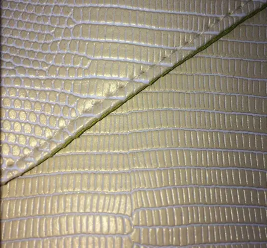 IPSY Glam Bag Make Up Bag in Pale Gold Embossed Snake w/White Background