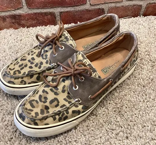 Sperry  topsider Leopard print boat shoes size 8.5