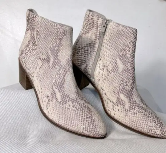 Seychelles  NEW Occasion Nueutral Snake Print Ankle Boot- Size 8