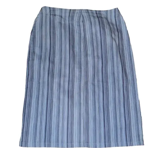 Villager Sport Blue Pinstripe Denim Skirt