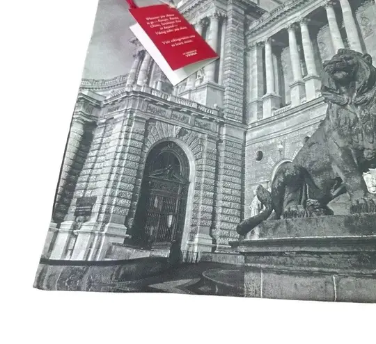 Viking Travel Bag Tote Adjustable Pull Straps Vienna Statue NWT New Gray