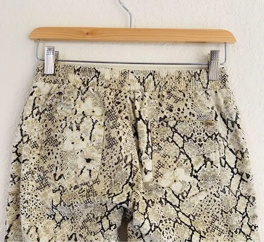 Spell & The Gypsy Collective SPELL // Aloha Python Jets