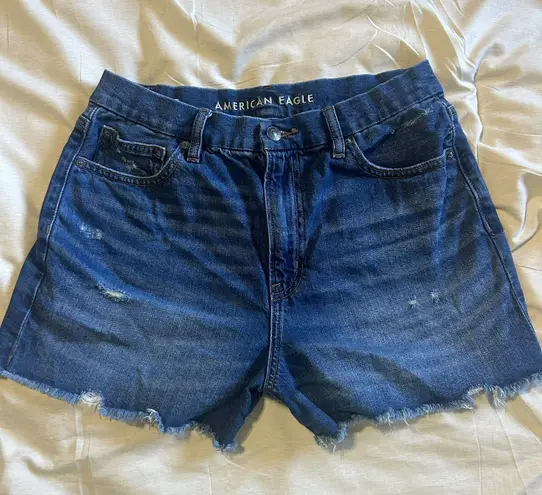 American Eagle Curvy High Waisted Shorts