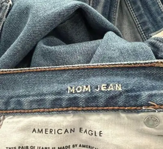 American Eagle Outfitters Aejeans Mom Jeans