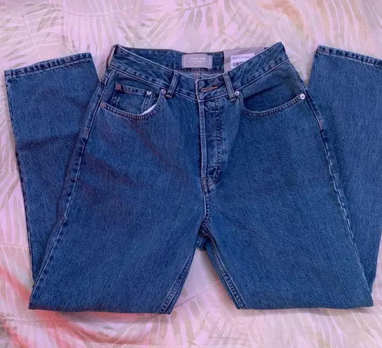 Everlane The Curvy 90’s Cheeky Jean