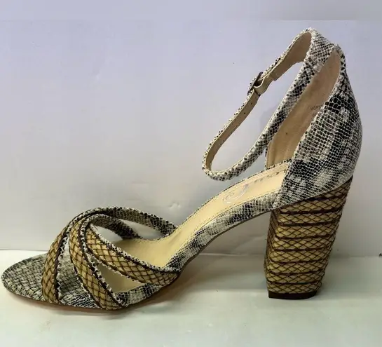 Very G  Womens Sandal Multicolor Snakeskin Ankle Strap Buckle Block Heel 10