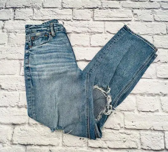 American Eagle Curvy 90s Straight Distressed Jeans 2 Regular Women's Blue Denim