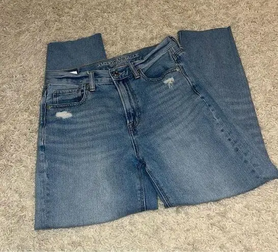 American Eagle  Distressed Mom Jeans size 2 regular