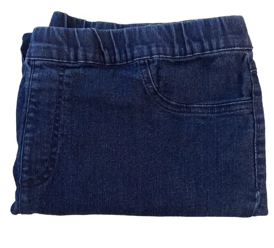 Laura Scott Pull-On Elastic Waistband Stretch Skinny Jeans Size 2X