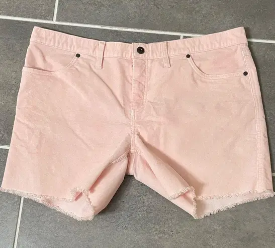 Carve Designs Oahu 6” Corduroy Shorts size 14