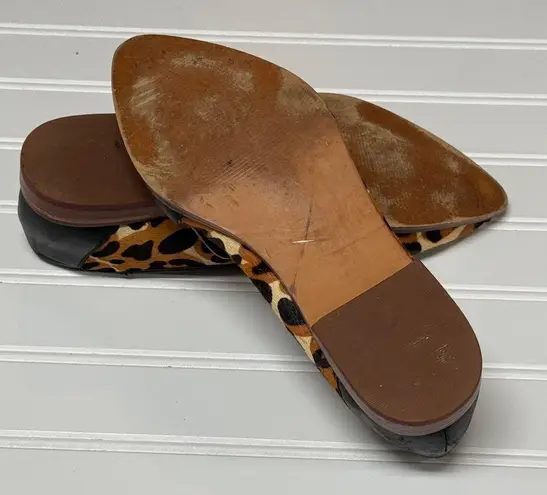Sole Society Edie Pointed Toe Cheetah Dot Calf Hair Leather Flats Size 6