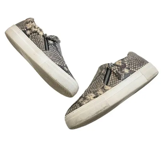 Steve Madden  Women's Glaammar Slip On Platform Sneaker In Snake - Gray, 7US