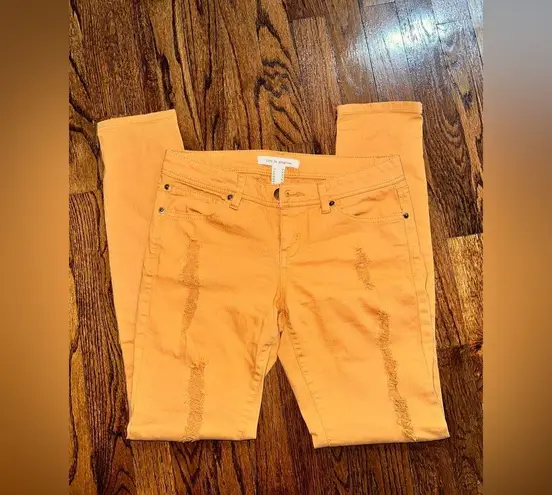 Life in Progress NWOT Ripped Skinny Jeans 25