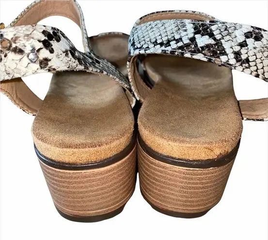 None Snakeskin Embossed Platform Sandal size 10
