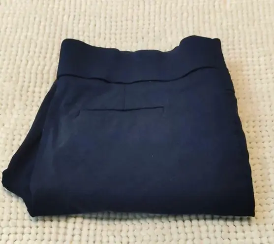 Style & Co  Navy Blue Ankle Pants Size 14 EUC #3214