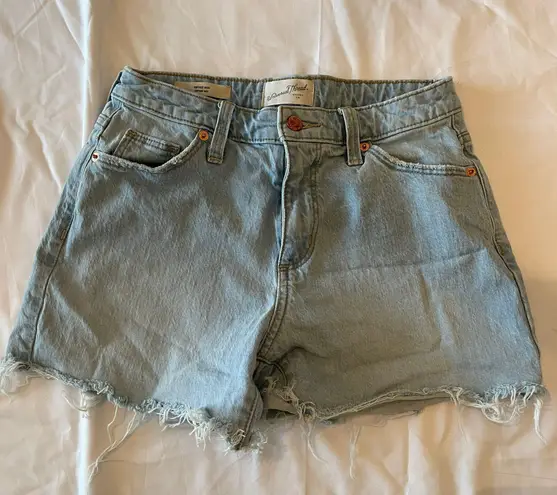 Target Universal Thread Denim shorts