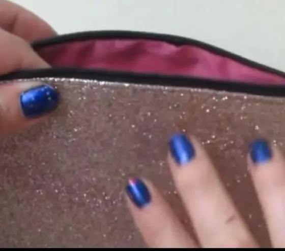 Ipsy Shimmering Glittered Glam Bag