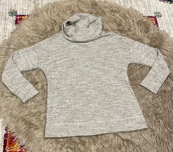 Pure Energy turtleneck sweater