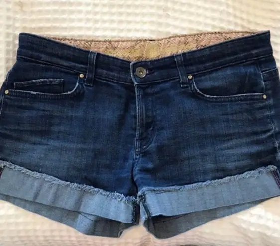 Rich & Skinny ✨ Denim Shorts✨