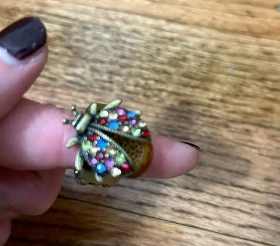 Rainbow Beetle Bronze Colored Ring OS Red