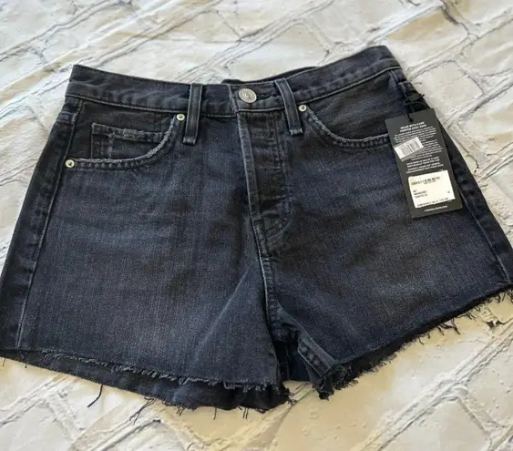 Hudson Jeans #19 NWT Hudson Lori Cutoff Denim Shorts in Tainted Love