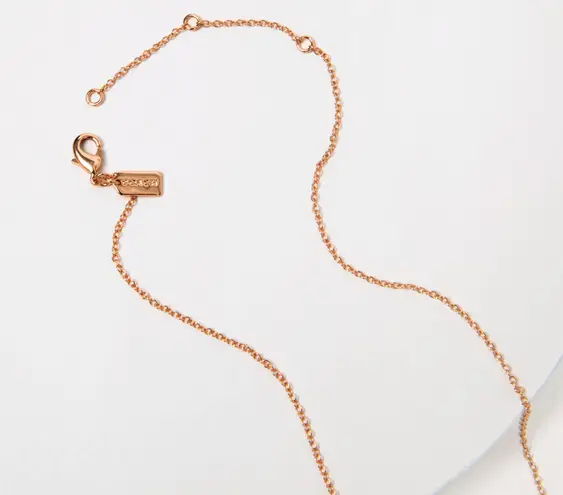 Coach Necklace & Tea Rose Stud Set