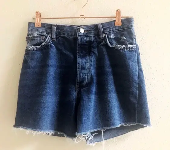 ZARA Distressed Shorts 🍑