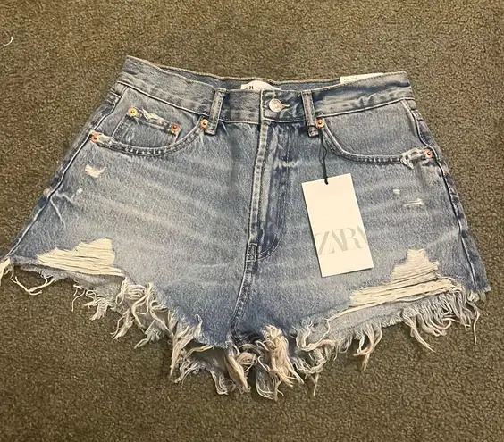 ZARA Shorts