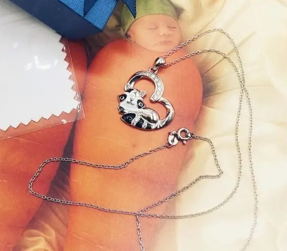 Raccoon In Heart Sterling Silver CZ Necklace Silver