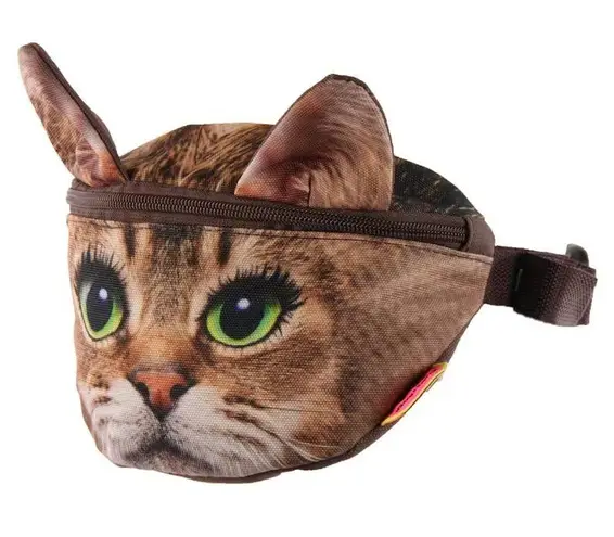 Fanny Pack Cat