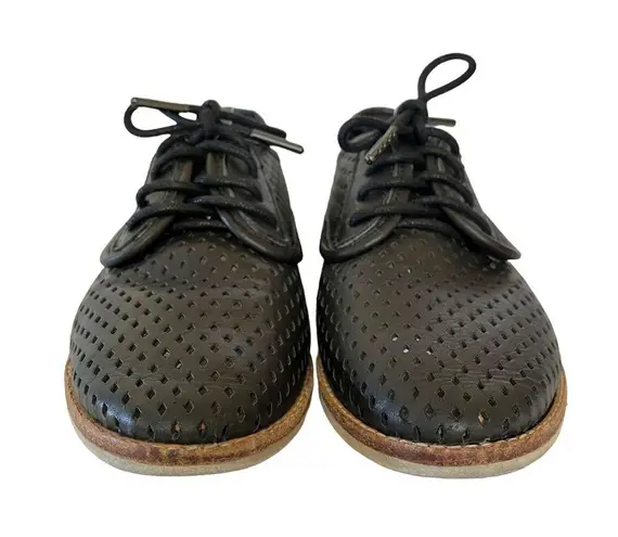 Rollie Australia Derby Punch Black Perforated Leather Lightweight Oxford Shoes