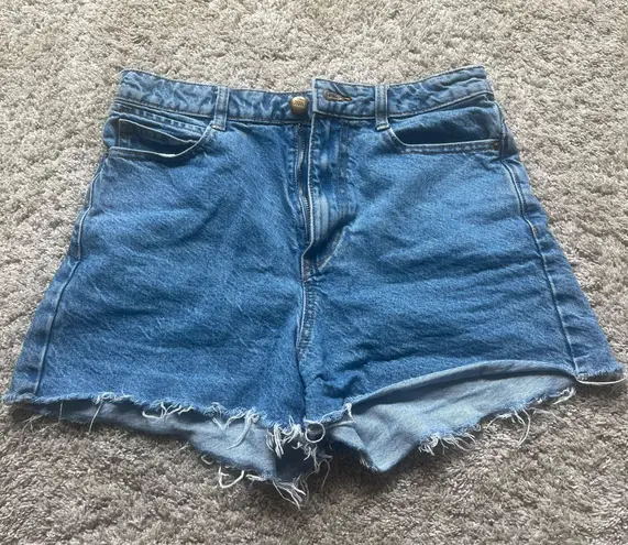 ZARA Denim Shorts