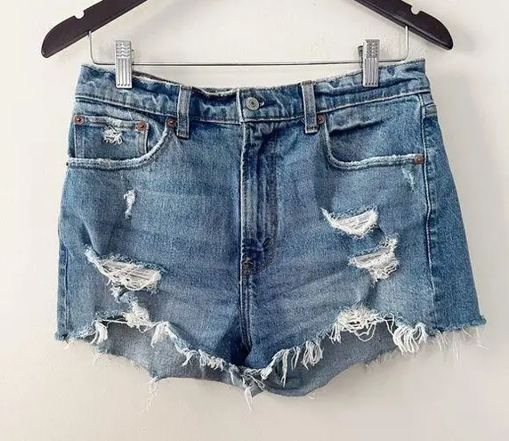 Abercrombie & Fitch  The Mom Short High Rise Jean Shorts Size 28/6 Distressed