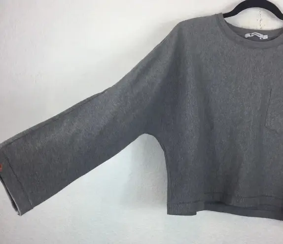 Alexander Wang Grey Dolman Sleeve Crop Athlesuire Cozy Shirt Medium