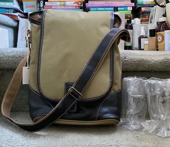 Wine Tote by Picnic Plus (TM) Green