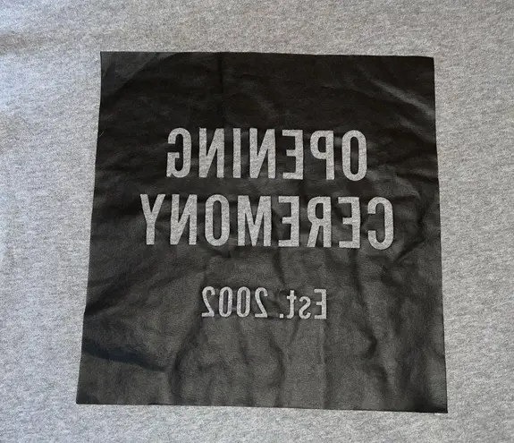 Opening Ceremony Grey Torch Unisex Box Logo Hoodie Pullover Sweatshirt Size XS