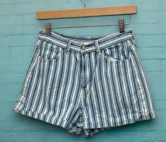 American Eagle American‎ Eagle Women's Blue Striped Denim Shorts Size 4 Mom Style Cuffed Hem