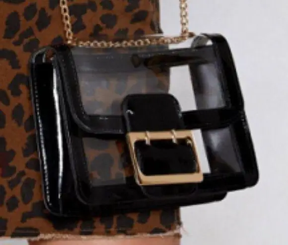 Clear, see through, transparent bag with black trim gold detail purse