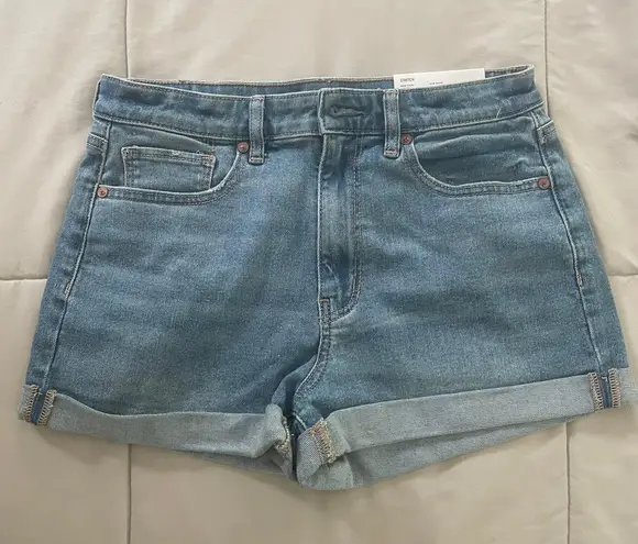 American Eagle Outfitters Denim Mom Shorts