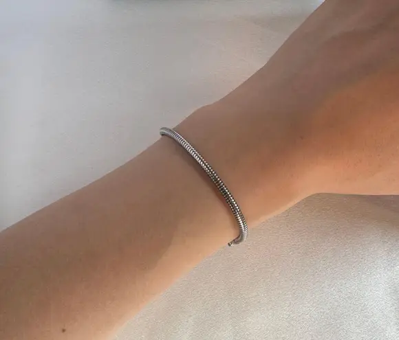 Adjustable Snake Bone Chain Bracelet for Men Women Silver