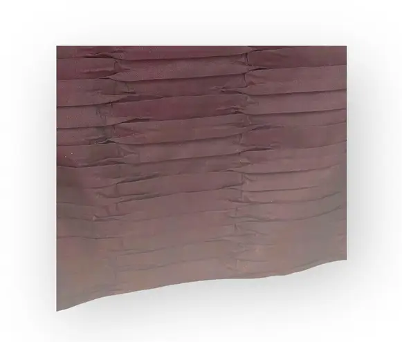 Y2K: Anne Stanley 𦹠Taffeta Micro Pleat Corset Top 𦹠Oxblood Iridescent 𦹠10 Purple